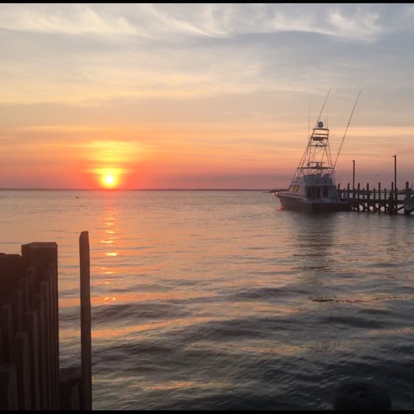 Meet your Posher, Kim - Picture 3 of 6